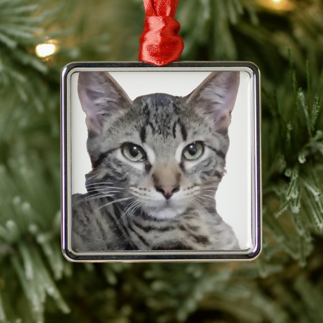 Tabby Kitten Metal Tree Decoration (Tree)
