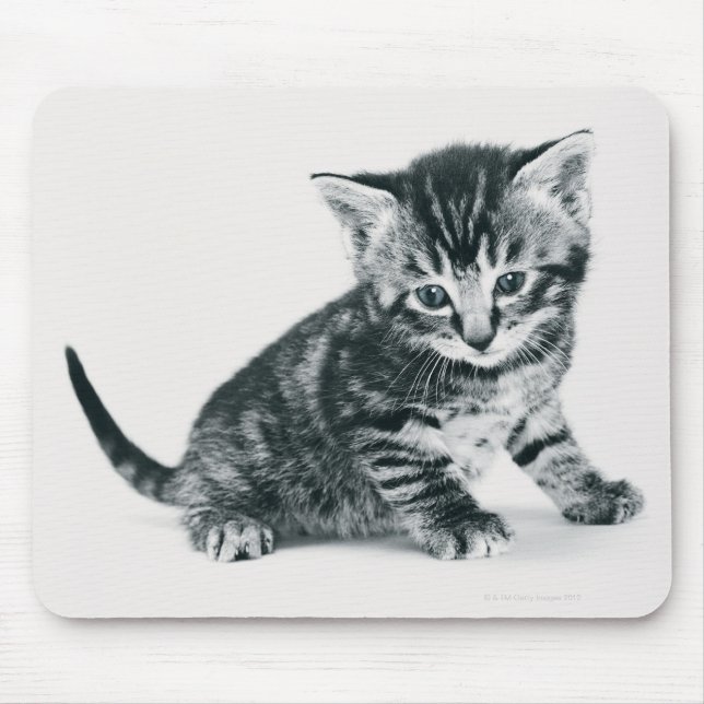 Tabby Kitten Mouse Mat (Front)