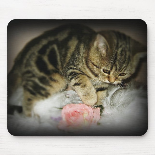 Tabby kitten mousepad (Front)