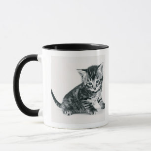 Tabby Kitten Mug