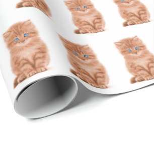Tabby Kitten On White Wrapping Paper