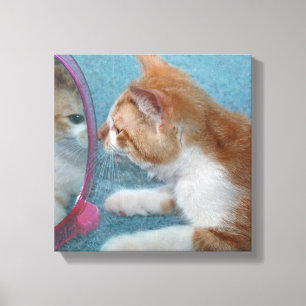tabby kitten reflection in mirror canvas print