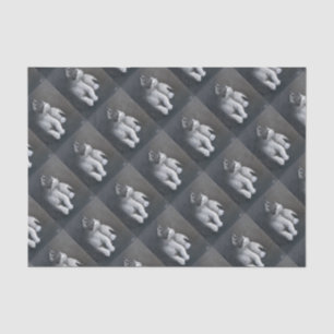 Tabby Kitten Tissue Paper