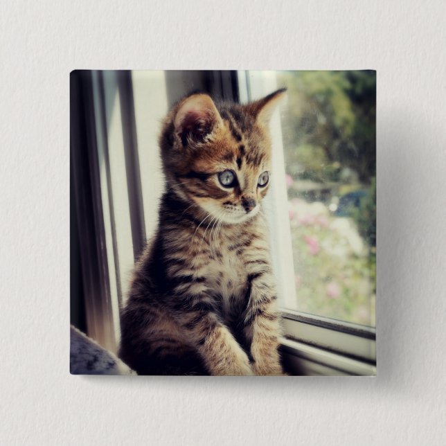Tabby Kitten Watching 15 Cm Square Badge (Front)