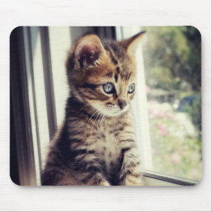 Tabby Kitten Watching Mouse Mat