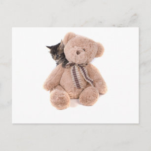 tabby kittens playing with a teddy bear postcard