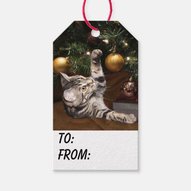 Tabby kitty cat Christmas Gift Tags (Front)