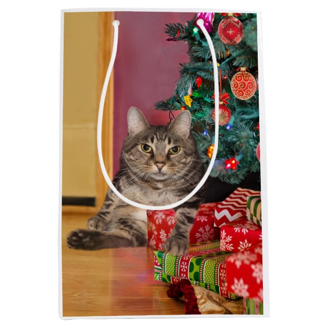Tabby kitty cat Christmas Medium Gift Bag (Front)