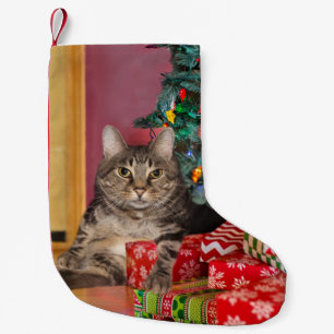 Tabby kitty cat Christmas Small Christmas Stocking