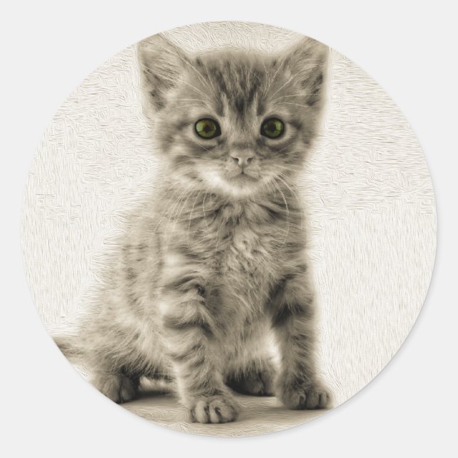 Tabby Kitty Classic Round Sticker (Front)