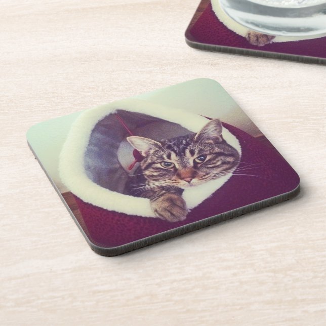 Tabby Kitty In Hut Close-Up Photograph Coaster (Left Side)