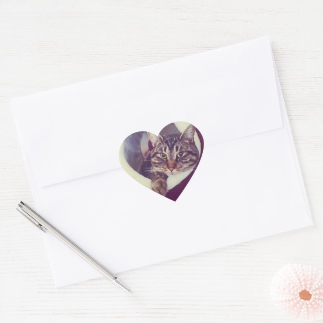 Tabby Kitty In Hut Close-Up Photograph Heart Sticker (Envelope)