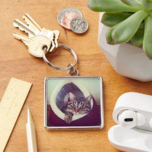 Tabby Kitty In Hut Close-Up Photograph Key Ring