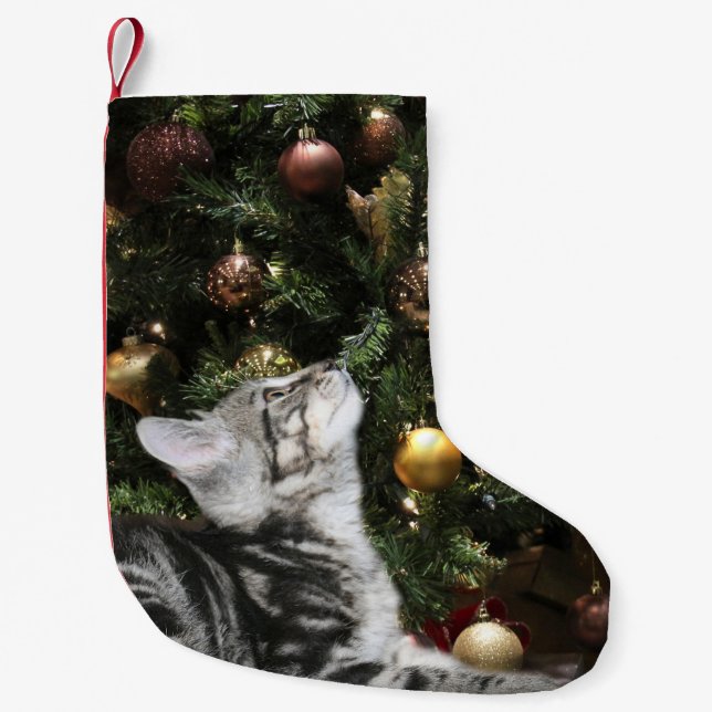 Tabby kitty small christmas stocking (Front)