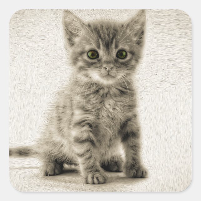 Tabby Kitty Square Sticker (Front)