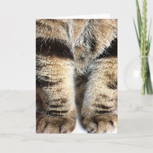 Tabby Legs Note Card - Blank inside