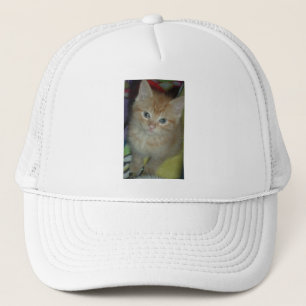 Tabby Love Trucker Hat