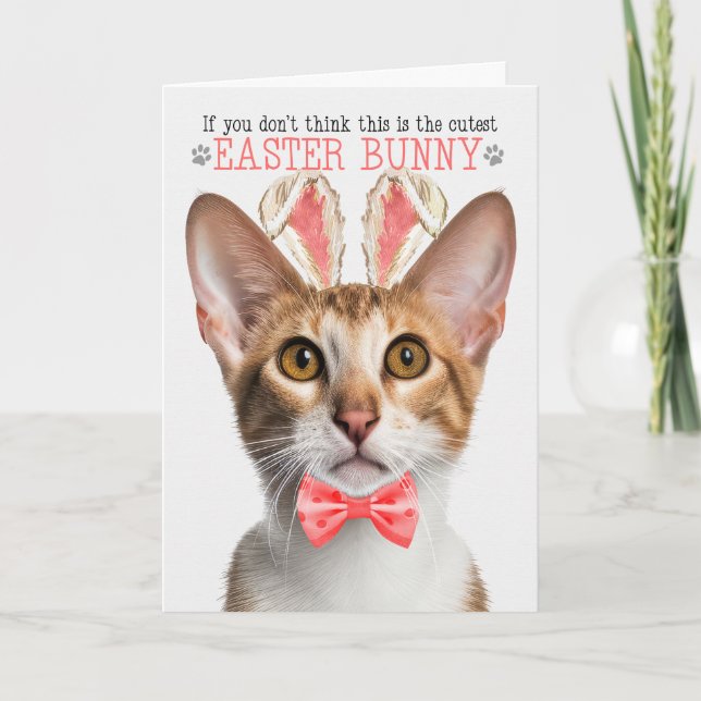 Tabby Oriental Cat Cutest Easter Bunny Kitty Puns Holiday Card (Front)