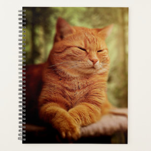 Tabby Planner