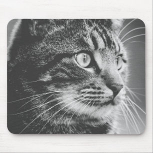 Tabby Profile   Big Eyes   Black and White Mouse Mat