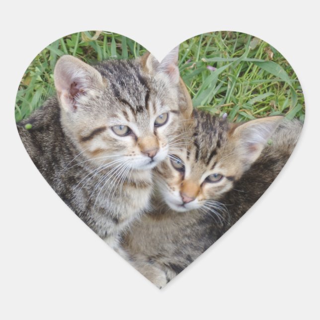 Tabby Sisters Heart Sticker (Front)