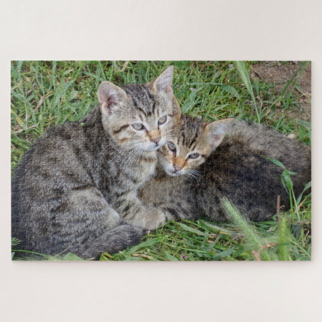 Tabby Sisters Jigsaw Puzzle (Horizontal)