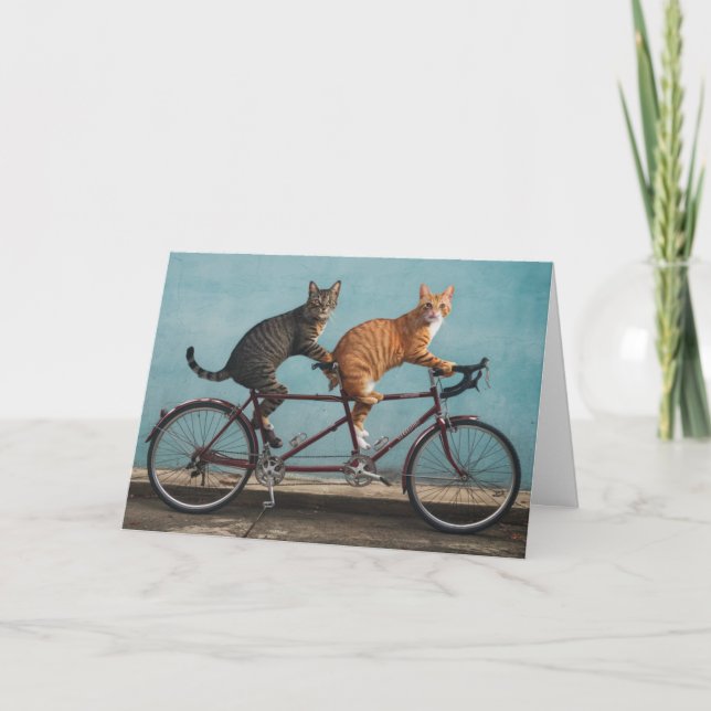 Tabby Tandem Card (Front)