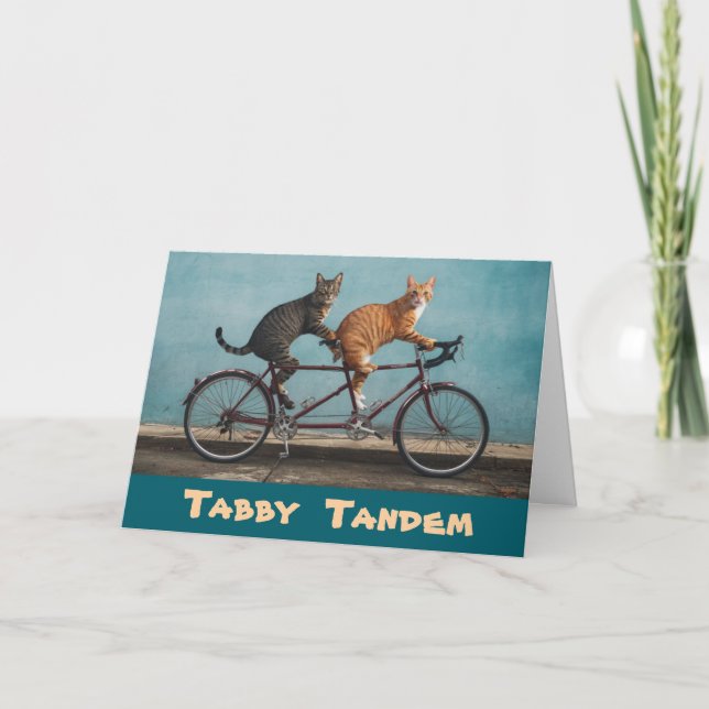 Tabby Tandem Card (Front)