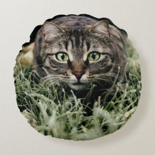 Tabby the Domestic Cat Round Cushion