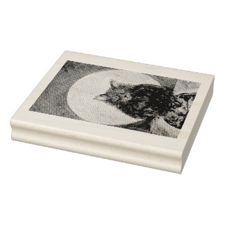 Tabby Tiger Cat Moon Night Earth Maureen Girard Rubber Stamp