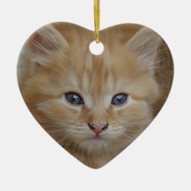 Tabby Tomcat Kitten Ceramic Tree Decoration (Front)