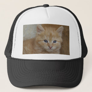 Tabby Tomcat Kitten Trucker Hat