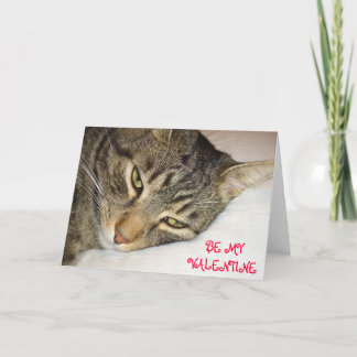 Tabby Valentine Holiday Card