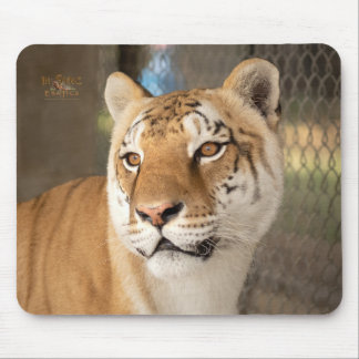 Tabitha Mouse Mat
