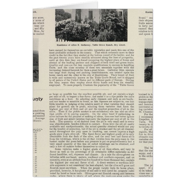 Table Grove Ranch, California (Front)