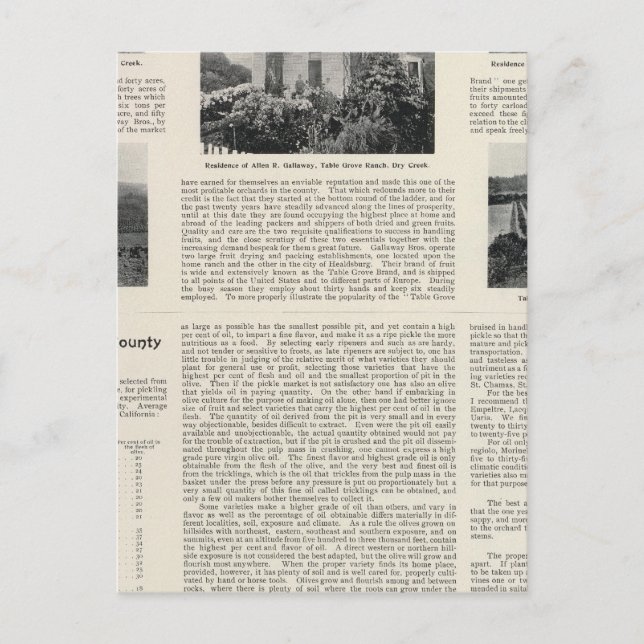 Table Grove Ranch, California Postcard (Front)