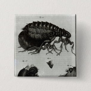 Table IV of Flies and Fleas 15 Cm Square Badge