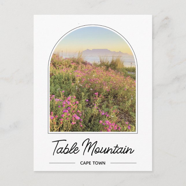 Table Mountain Cape Town South Africa Postcard (Front)