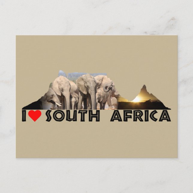 Table Mountain Elephant Family Postcard (Front)