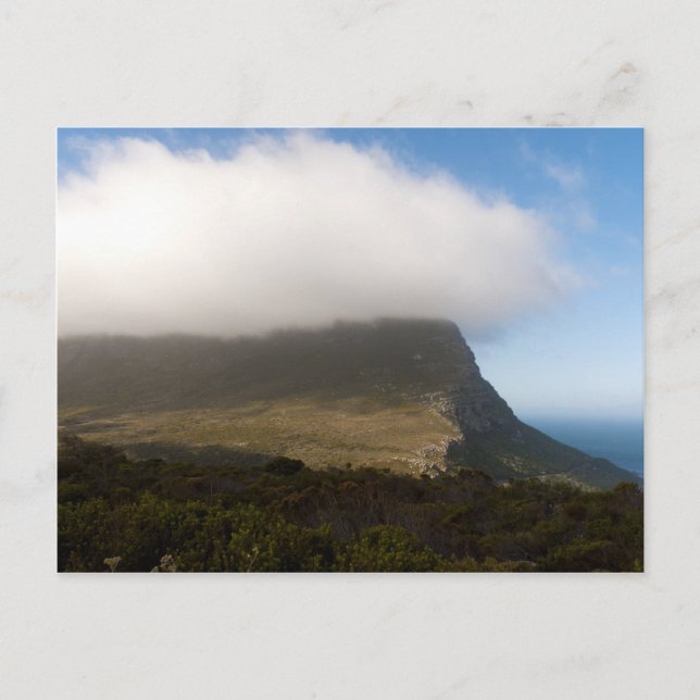 Table Mountain National Park Postcard (Front)
