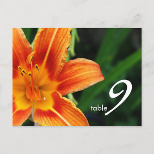 table number card