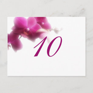 Table Number Postcard