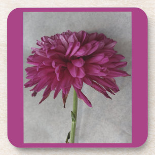 Table Setting Decor Coaster