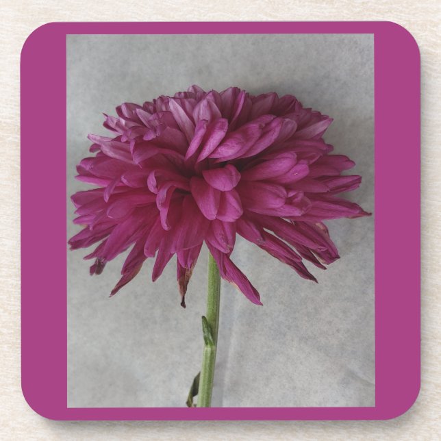 Table Setting Decor Coaster (Front)