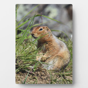 Tabletop Plaque with Easel of prairie dog