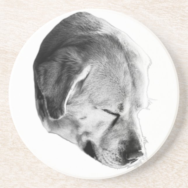 Tabletop Tranquillity Coaster (Front)