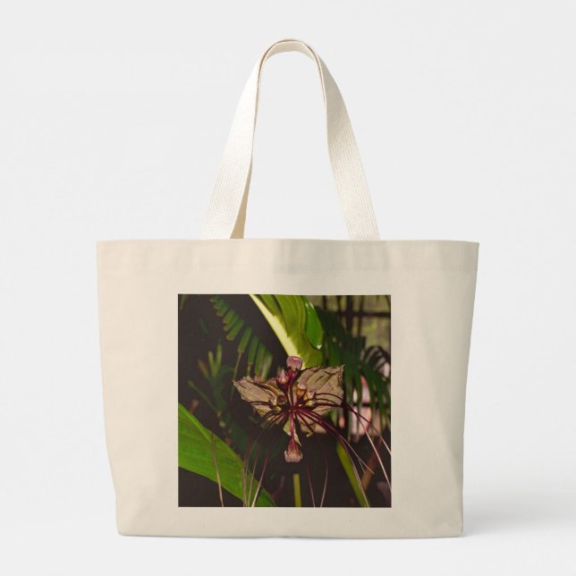 Tacca chantrieri (Tacca nivea) - Black Bat Flower  Large Tote Bag (Back)