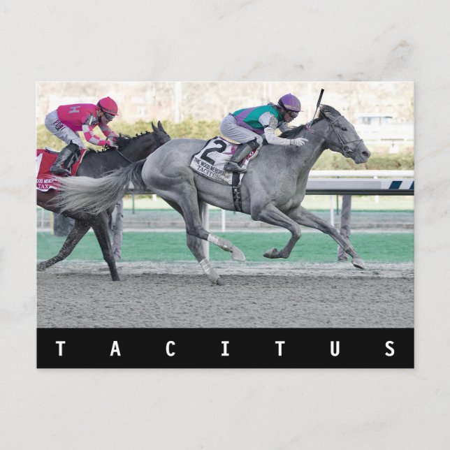 Tacitus Winning the Wood Memorial Stakes Postcard (Front)