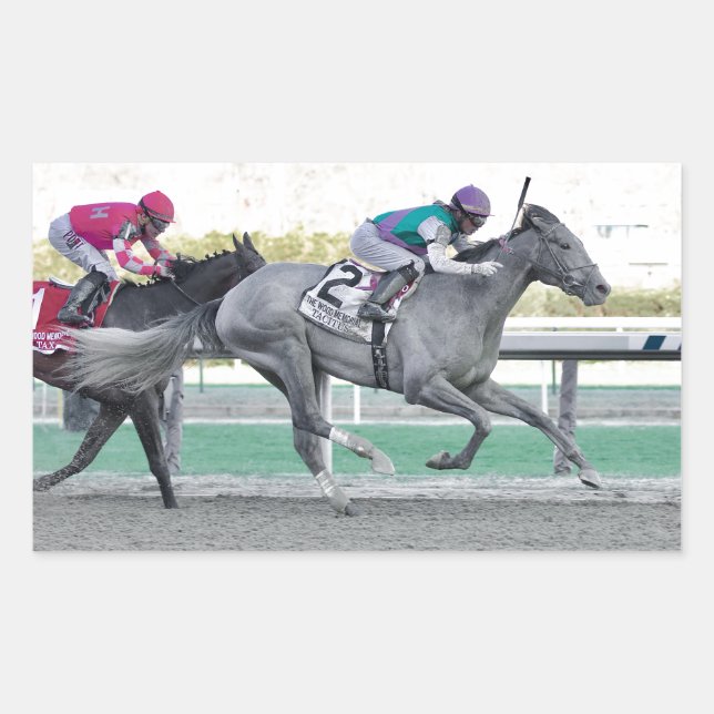 Tacitus Winning the Wood Memorial Stakes Rectangular Sticker (Front)