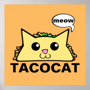 Taco Cat Poster